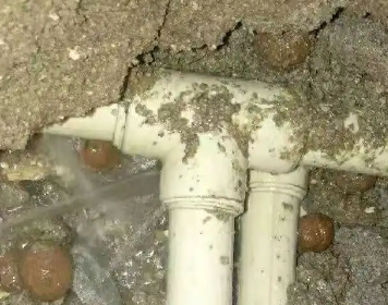 宁河测漏水多少钱