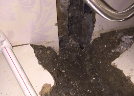 宁河卫生间测漏水哪家好