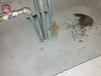 宁河卫生间测漏水价格明细